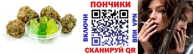 Cannafood конопля  МЕГА маркетплейс  Полярные Зори 