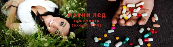 индика Алексеевка