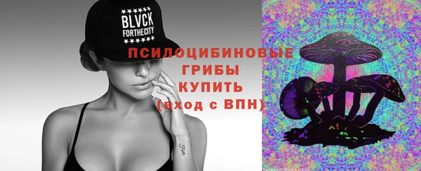 дмт Алексин