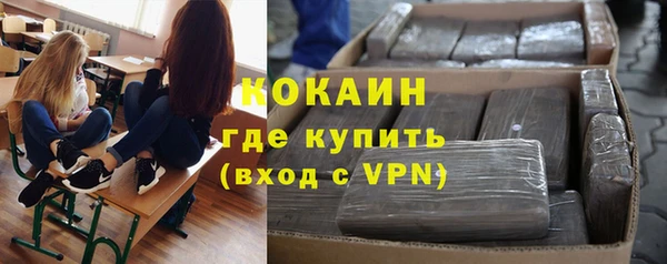 индика Алексеевка