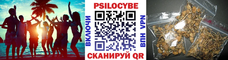 кракен вход  даркнет сайт  Полярные Зори  Псилоцибиновые грибы MAGIC MUSHROOMS 